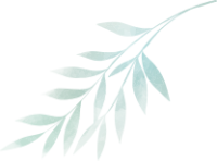 ocaliptus_leaf_01.png